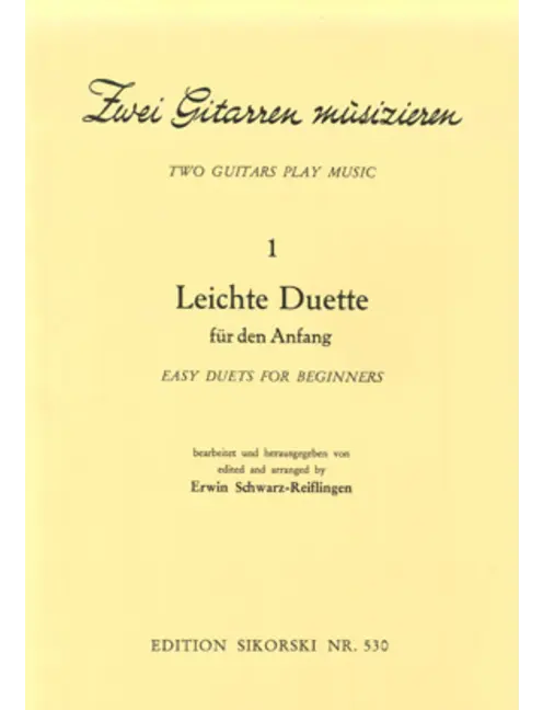 2 Gitarren musizieren