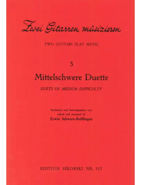 2 Gitarren musizieren