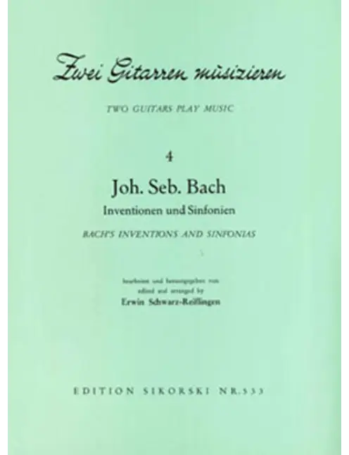 2 Gitarren musizieren